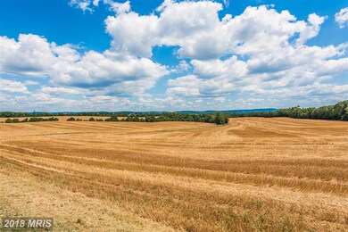 6006 Burkittsville Rd, Burkittsville, MD 21718 - photo 2