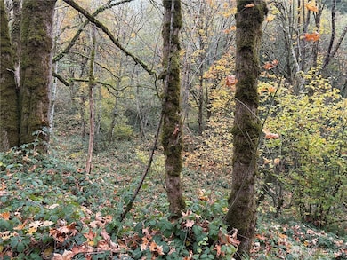 0 Maplewood Dr, Longview, WA 98632 - photo 7