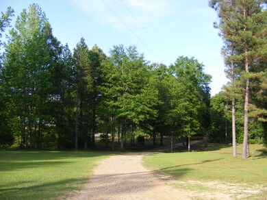 Driveway to Property
