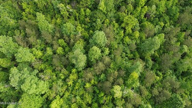 DJI_0012