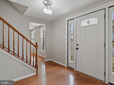 8100 Winding Way Ct, Springfield, VA 22153 - photo 5