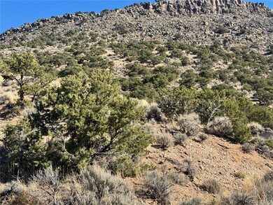 lot 2446 Zuni Rd, Sangre de Cri, CO 81133 - photo 3
