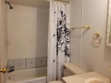 23892 State Route J, Saint Mary, MO 63673 - photo 7