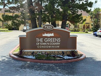 7627 Dolonita Dr unit 7627, Tampa, FL 33615 - photo 2