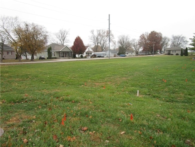 502 S Chestnut St, Pana, IL 62557 - photo 2