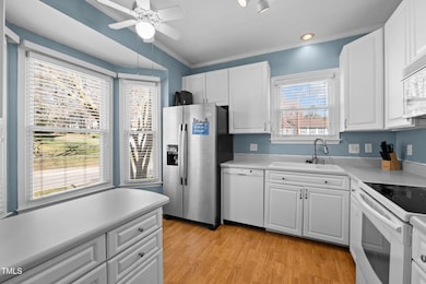 18-web-or-mls-P1026952