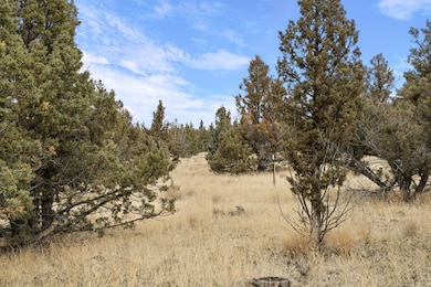 0 SE Juniper Canyon Rd unit 220196956, Prineville, OR 97754 - photo 6