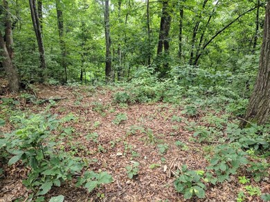 TBD Dennis Dr, Johnson City, TN 37601 - photo 4