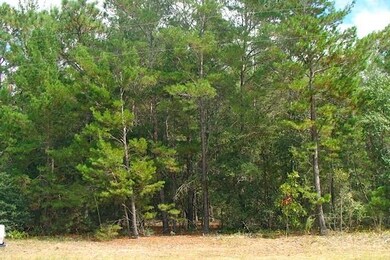 Wooded Lot