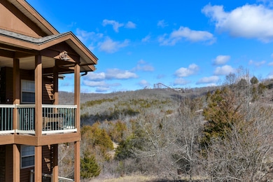 33 Blue Bird Way unit 1, Branson, MO 65616 - photo 6