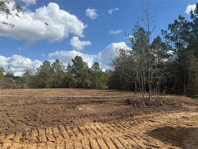 26747 Alderbrook Ave, Montgomery, TX 77316 - photo 5