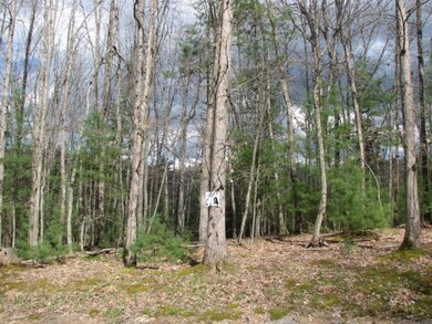 357 Hawks Chase Ln unit 6, Shady Spring, WV 25832 - photo 4