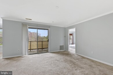 8901 Stone Creek Place unit 204, Pikesville, MD 21208 - photo 4