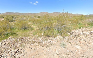 Bridgeport Rd, Golden Valley, AZ 86413 - photo 4