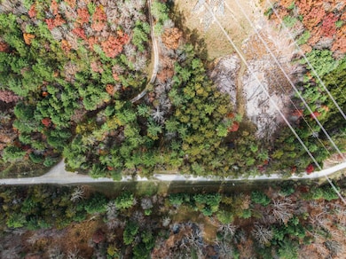 TBD Millers Creek Rd, Max Meadows, VA 24360 - photo 5