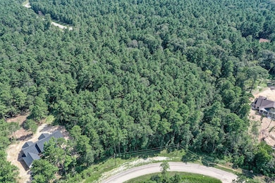 0 Red Hawk Rd unit 24641691, Huntsville, TX 77340 - photo 5