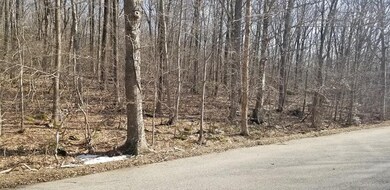 XO Frontage Rd, Ashford, CT 06278 - photo 7