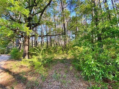 17197 &17203 Skeet Statham Rd, Bogalusa, LA 70427 - photo 2