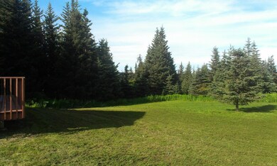 Private Back Yard