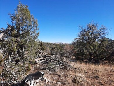 20211219002320964961000000-o