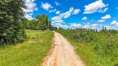 Cr 334, Salem, AL 36874 - photo 6