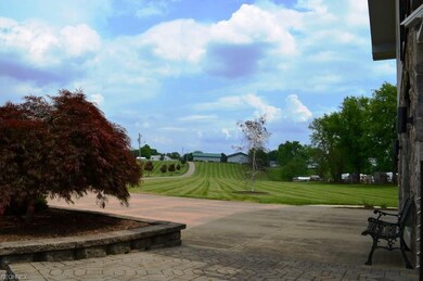 Patio to Backyard View