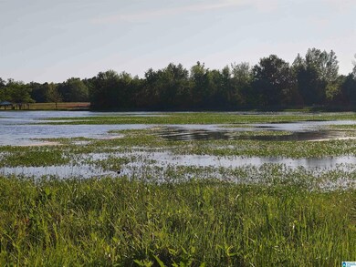 00 Cove Rd, Fayetteville, AL 35151 - photo 3