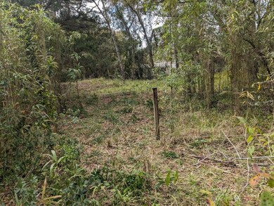 12730 Eola Ave, New Port Richey, FL 34654 - photo 6