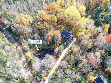 Aerial (2), label