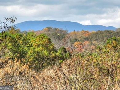 100 Arrow Way, Mineral Bluff, GA 30559 - photo 5