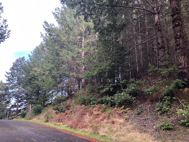 27 Buckhorn Ct, Whitethorn, CA 95589 - photo 3