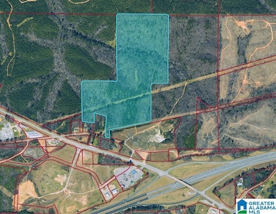 0 Johnson St unit 21425926, Heflin, AL 36264 - photo 4