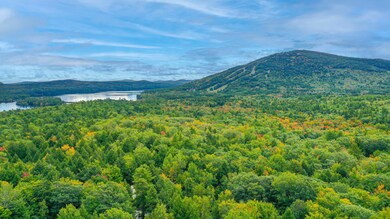 041 Tanner Way, Bridgton, ME 04009 - photo 6