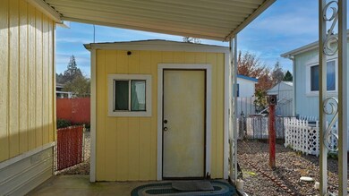 Shed