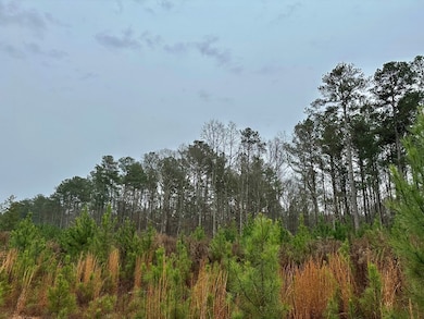 0 County Road 59 unit 148481, Heflin, AL 36264 - photo 3