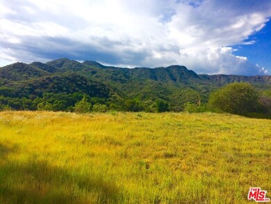 935 Cold Canyon, Calabasas, CA 91302 - photo 7