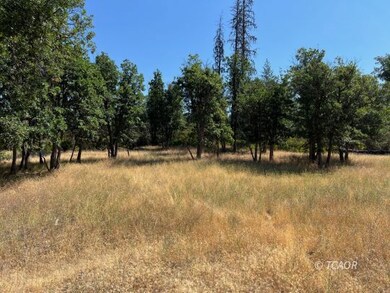 200 Creek Crossing Rd, Hayfork, CA 96041 - photo 5