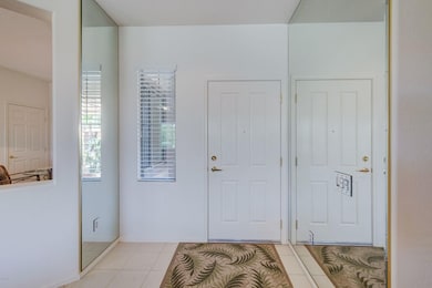 Mirrored Entry