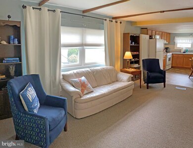 36247 Skyview St unit X-5, Rehoboth Beach, DE 19971 - photo 4