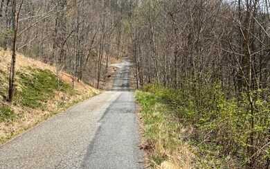 Additional View