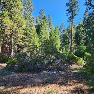 0 Ca-44 unit 25-4746, Shingletown, CA 96088 - photo 6