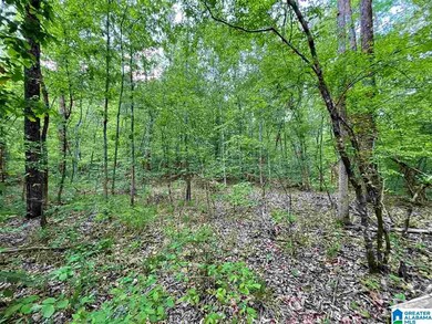 0 Bone Dry Rd unit 1, Kimberly, AL 35091 - photo 3