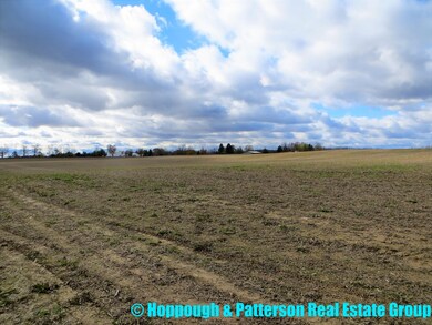 V/L N Jefferson St, Ionia, MI 48846 - photo 7