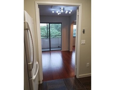 250 Hammond St unit 713S, Chestnut Hill, MA 02467 - photo 4