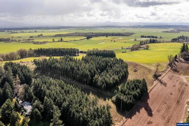 92884 Applegate Trail, Junction City, OR 97448 - photo 5