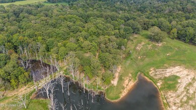 04-DJI_20240911155509_0166_D