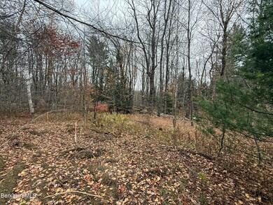 LOT9 Benton Hill Rd, Becket, MA 01223 - photo 4