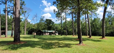 2288 Fox Run Rd, Camilla, GA 31730 - photo 5