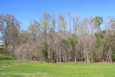 IMG_5965