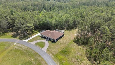 27338 Elkwood Cir, Wesley Chapel, FL 33544 - photo 2